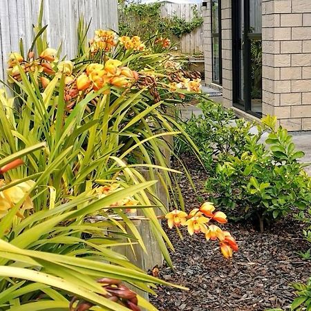 W&M Orchid House Apartment Auckland Ngoại thất bức ảnh