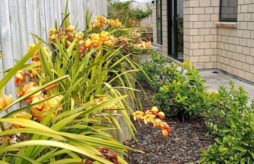 W&M Orchid House Apartment Auckland Ngoại thất bức ảnh